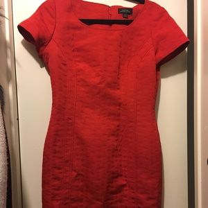 Tahari Work/Office Dress